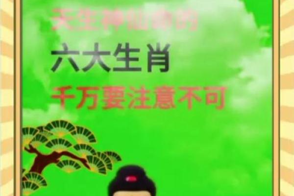 花钱替命，生肖里的深意与启示