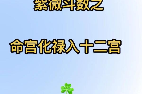 紫薇命理：探寻紫薇星座下的性格魅力与人生哲学