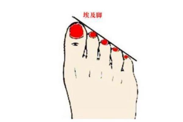 脚细长的男人：命运与魅力的交织