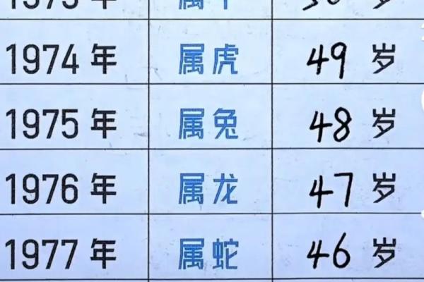 52年是什么年什么命：探索属龙人的人生旅程与命运