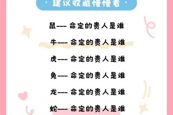 杀命之谜：深度解读与生肖动物的神秘联系