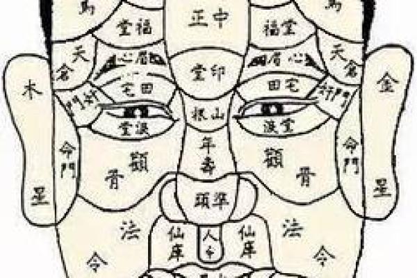 女人美人沟是什么命？探寻面相与命运的秘密