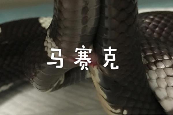 1374年：探索命运与时空的交错奥秘