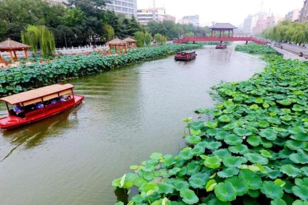 缺水命名：为生命赋予灵动与魅力的名字