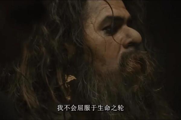 96年冬月：命运之轮下的温暖人生启示