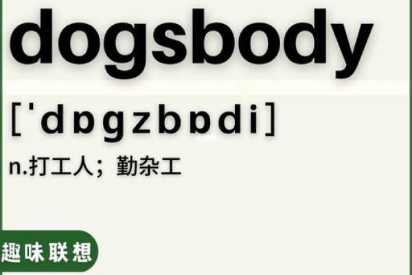 乌龟投胎：揭示人与命运之间的奇妙联系