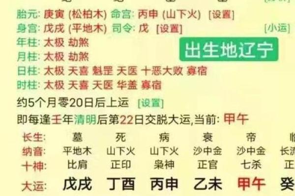 1991年阳历出生的人命理解析：人生的机遇与挑战