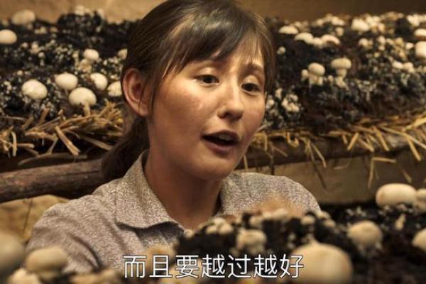 1996年命火：探索火的象征与人生启示