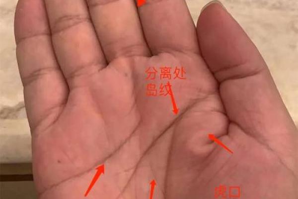 根据掌纹解读，哪些女命运势最佳？掌握运势秘诀！