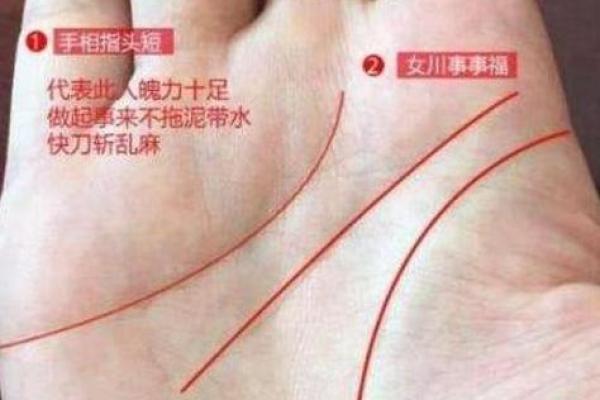 2019年出生的人命运解析：聪明与机遇并存的新生代！