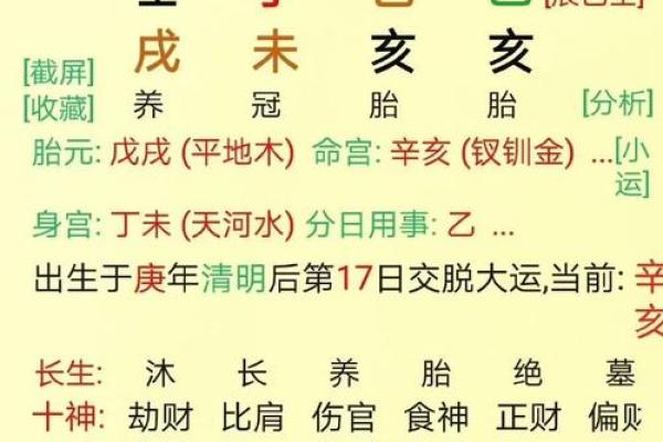 2010年的命格：揭示八字中的风水运势与人生轨迹