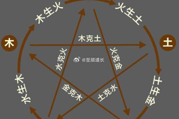 2023年的命运揭秘：揭示你在这一年出生的独特命格与人生走向
