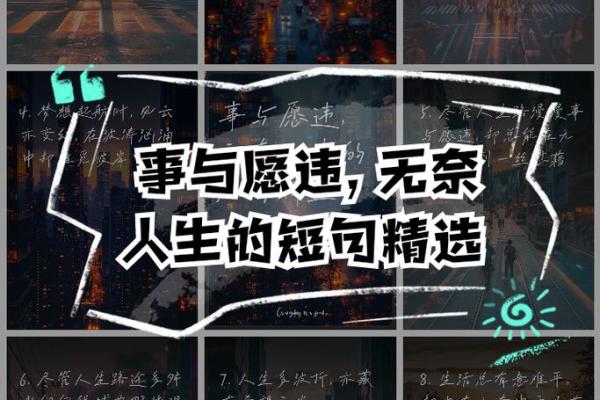 秦冉：一命换一命的宿命与选择，人生的无奈与坚持