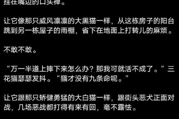猫的神秘传说：为何它们总是有九条命？
