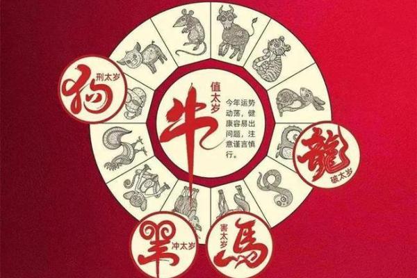 根据女人属相解析命运，了解秘密，找到人生方向！