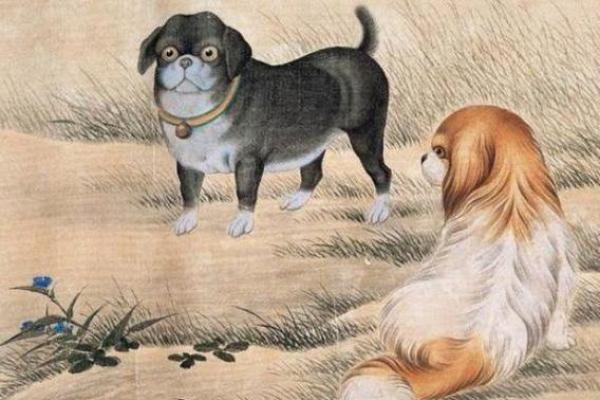 1980年属狗之人的命运与性格解析，解读生肖背后的智慧