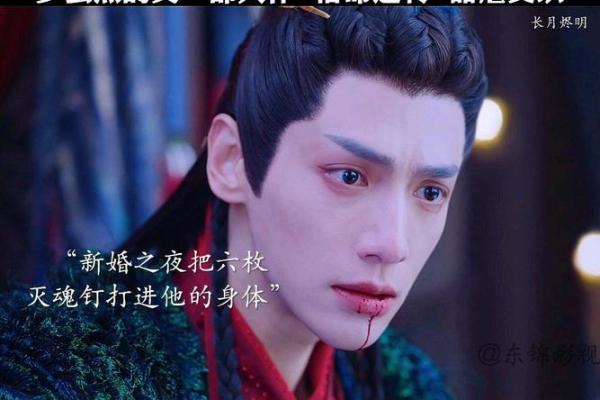 算你的命，养他的命：探索宿命与责任的交织