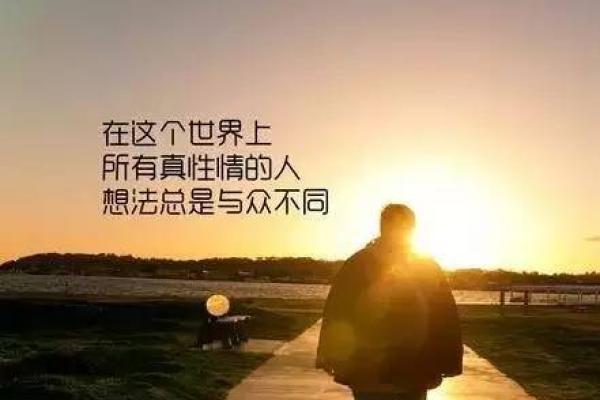 求人算卦：探寻命格奥秘，揭开人生的迷雾