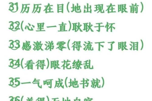 2009年命运的启示：如何在人生的道路上乘风破浪