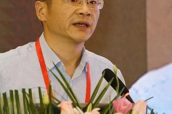 医生行业的命运探索：从职责到人生哲学的转变
