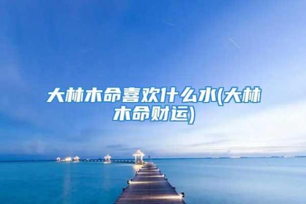 水木相生，灵动商机：探讨水命与木命的最佳合作生意