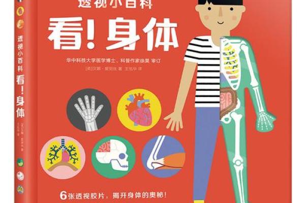探讨骨相女性的命运：如何透视美丽与命运的奥秘