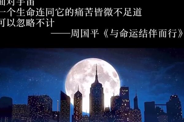 探秘1972年出生男性的命运之道：启示与建议