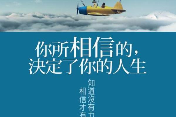 2007年出生的狗年命：探索与命运的奇妙旅程