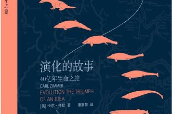 1971年正月的命运之探讨，探索生命的无限可能与挑战