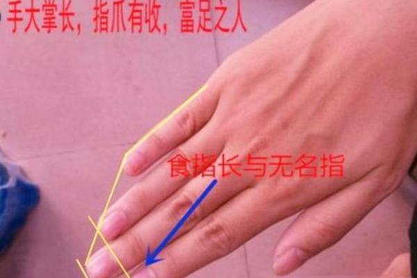 富贵命与三奇命的关系探究：命理中的深奥智慧