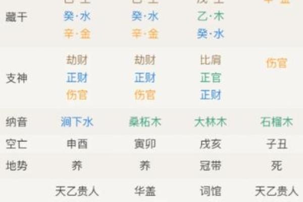 2023兔年命理解析：兔子的性格、命运与生活智慧