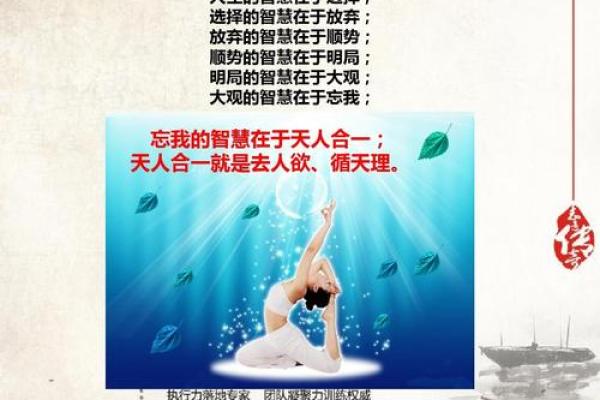 数什么命成语的智慧与哲理，解读人生玄机