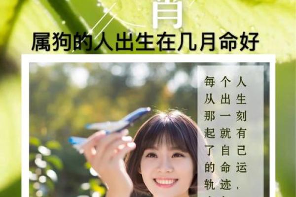 农历正月二十三：这一日出生的人命运解析与个性揭秘