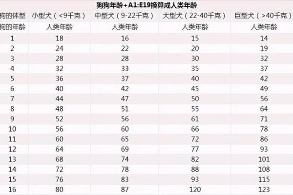 属狗女夜里出生：揭示命运与性格的奥秘