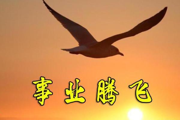 水命与金命：最佳生意选择解析，助您事业腾飞