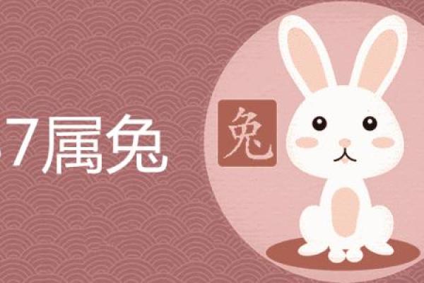 2011年属兔人：善良与智慧交织的命运之旅