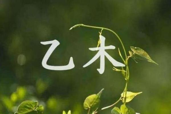 男命木女命金，楼层选择大有讲究！