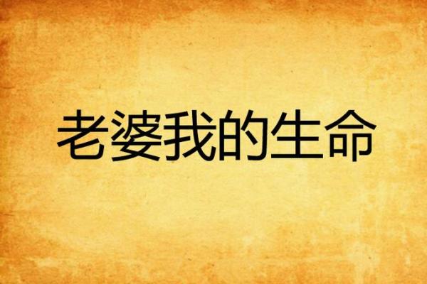 珍惜生命：当别人的命拯救了我的命的启示