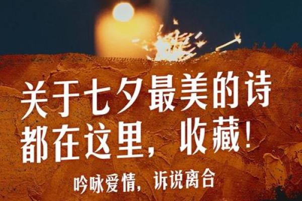 爱到深处，以命换命的真意与深情探讨