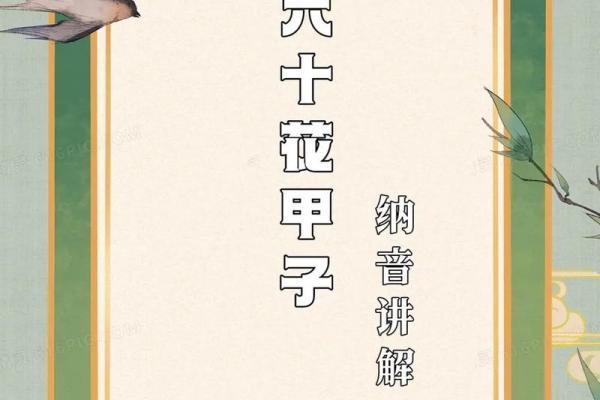 泉中水命与其他命理的完美搭配：探索缘分与相处之道