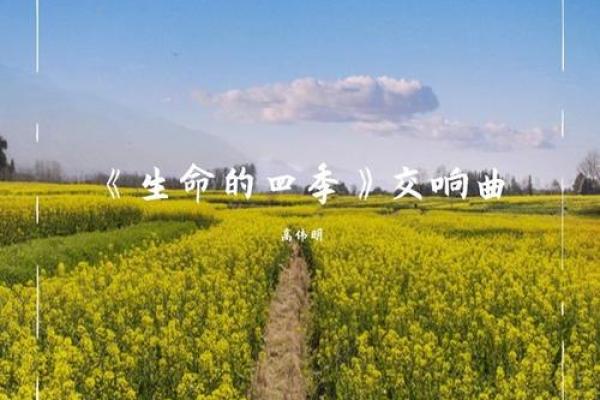 命以命换，生命的交响曲：探索日本映画中的牺牲与救赎