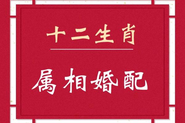 婚姻中的命与属相：如何选择最适合的另一半？