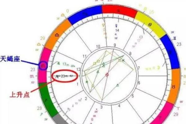 解析命理数字9：独特命格与人生命运的奥秘