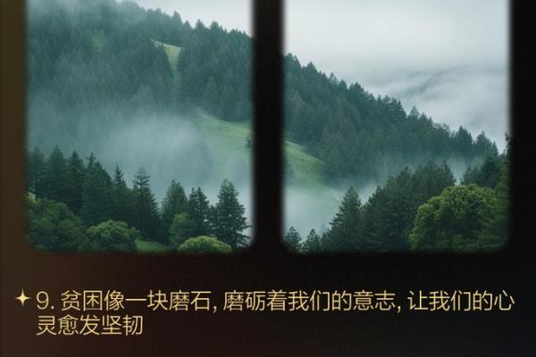 探寻人生的坎坷：命运中的艰辛与希望之光
