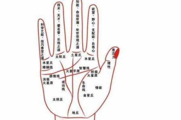 根据出生月份探秘命运，揭示人生方向与性格特征！