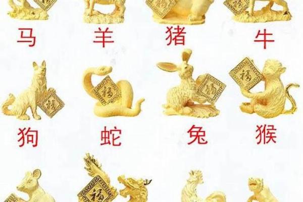 属狗的八字命理解析：如何发挥属相优势，迎接好运与成功！