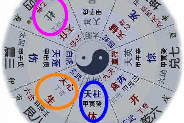 属狗的八字命理解析：如何发挥属相优势，迎接好运与成功！