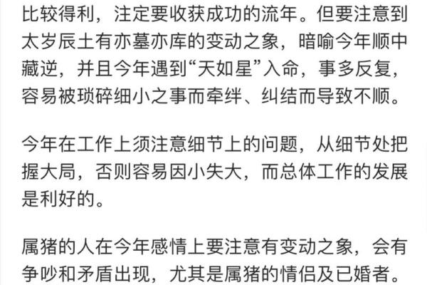 属猪命的人应该注意的生活方式与运势分析