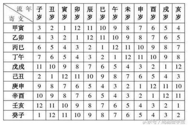 10周胎儿命理解析：影响人生的星宿和出生特征