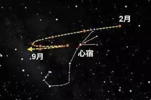 10周胎儿命理解析：影响人生的星宿和出生特征